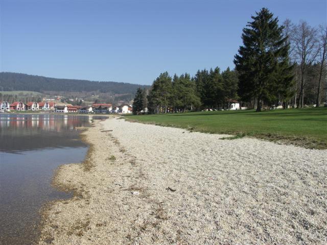 Apartment Lipno Sumava Pro 8 Hostu Lipno nad Vltavou Dış mekan fotoğraf