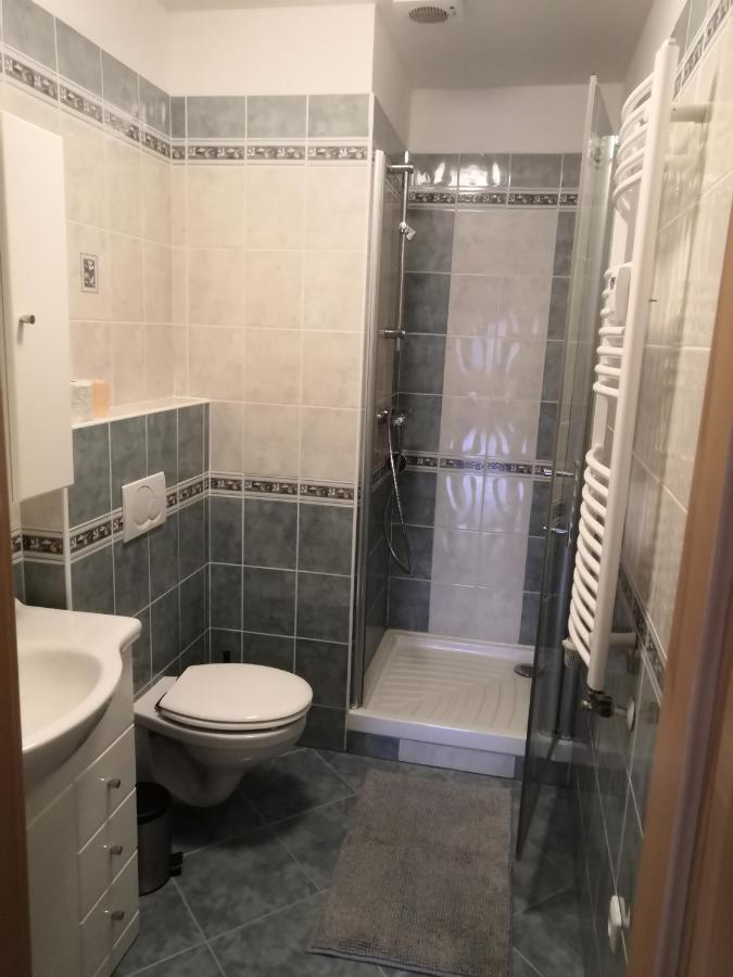 Apartment Lipno Sumava Pro 8 Hostu Lipno nad Vltavou Dış mekan fotoğraf