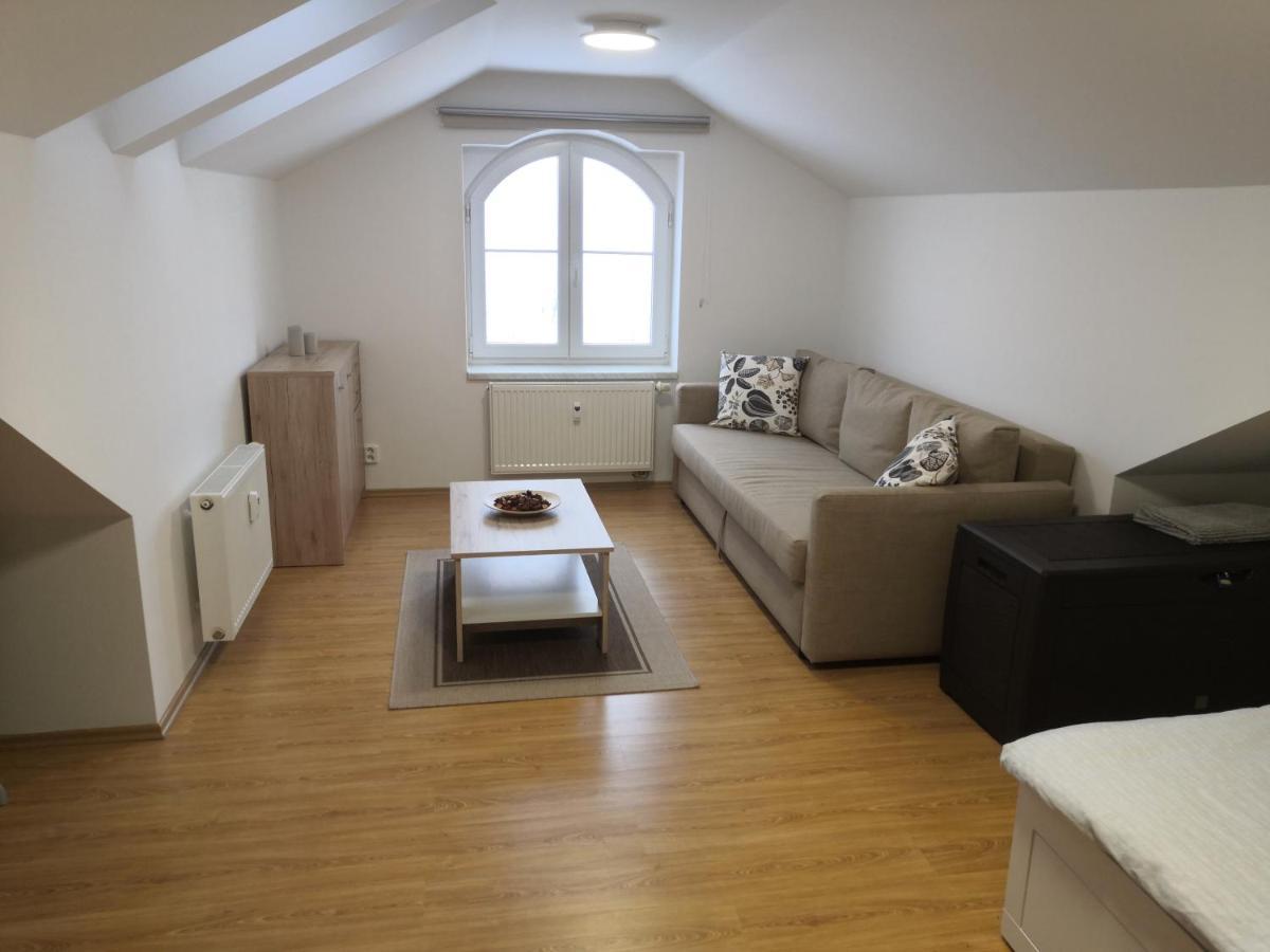 Apartment Lipno Sumava Pro 8 Hostu Lipno nad Vltavou Dış mekan fotoğraf