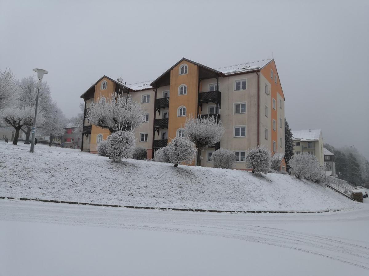 Apartment Lipno Sumava Pro 8 Hostu Lipno nad Vltavou Dış mekan fotoğraf